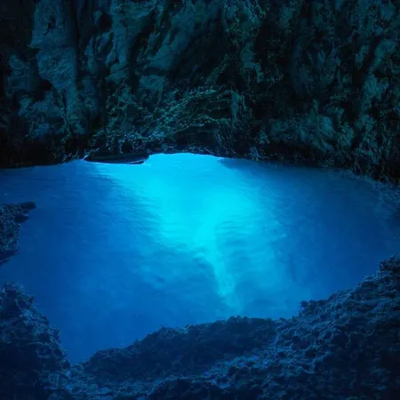 アパート Magnolia 4* Luxury In Town Center トロギール